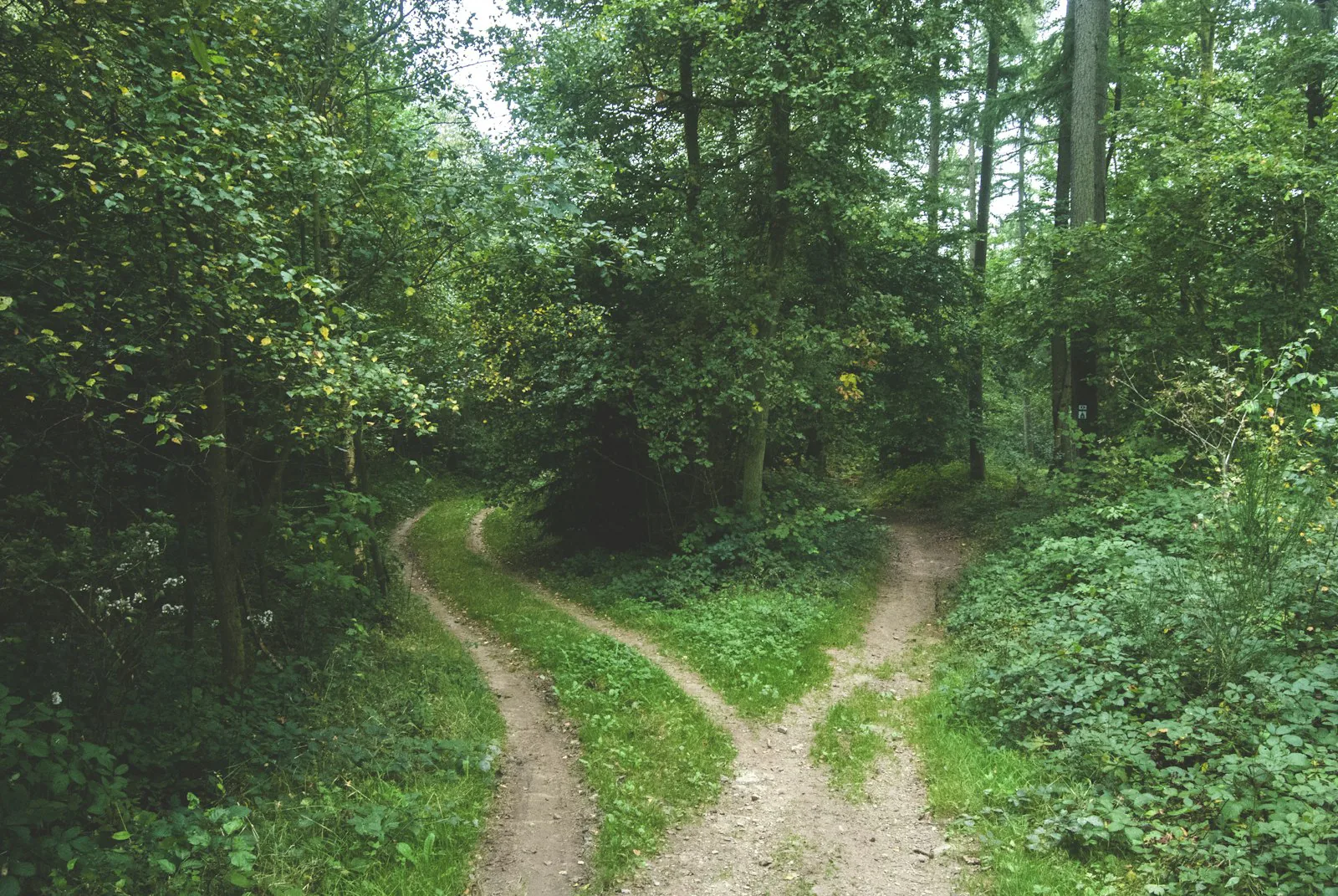 Two Boots to Trust an Update: A/B Rollback on Avocado OS